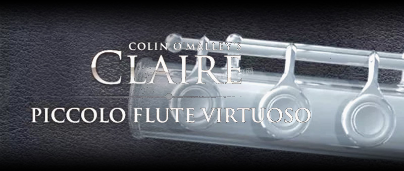 ľԴ-8Dio Claire Piccolo Flute Virtuoso.jpg