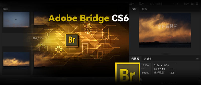 Adobe Bridge CS6.jpg