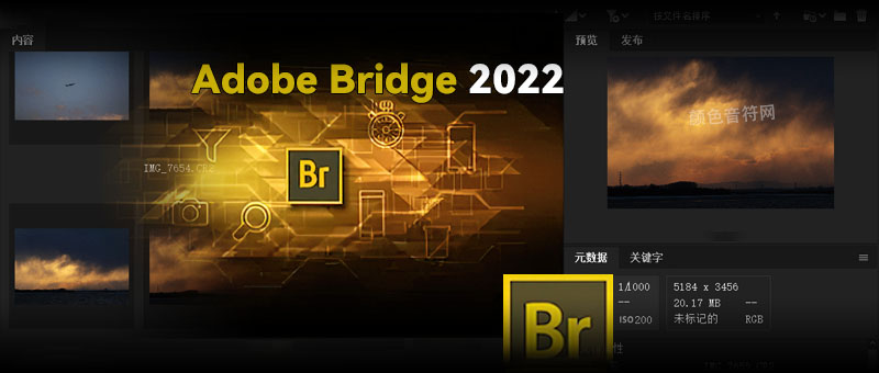 Adobe Bridge 2022.jpg