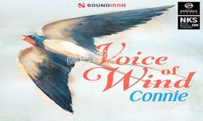 风之声女独唱音源-Soun- Voice of Wind Connie