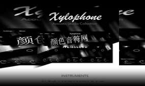 木琴音源-Muze Xylophone