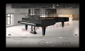 雅马哈自动演奏钢琴-Session Keys R Y S