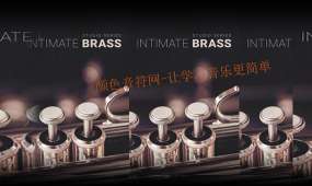 录音室铜管-8dio Intimate Studio Brass