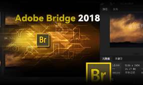 Adobe Bridge 2018