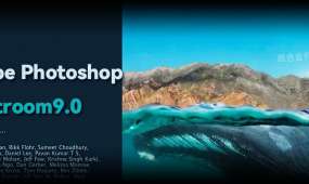 Adobe Photoshop  Lightroom9.0