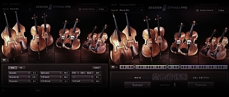 Session Strings Pro 2حаٴ.jpg