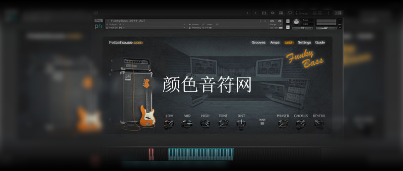 籴˹-Pettinhouse FunkyBass 2.0.jpg