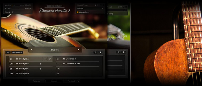 ּɨľ-Session Guitarist Strummed Acoustic 2.jpg